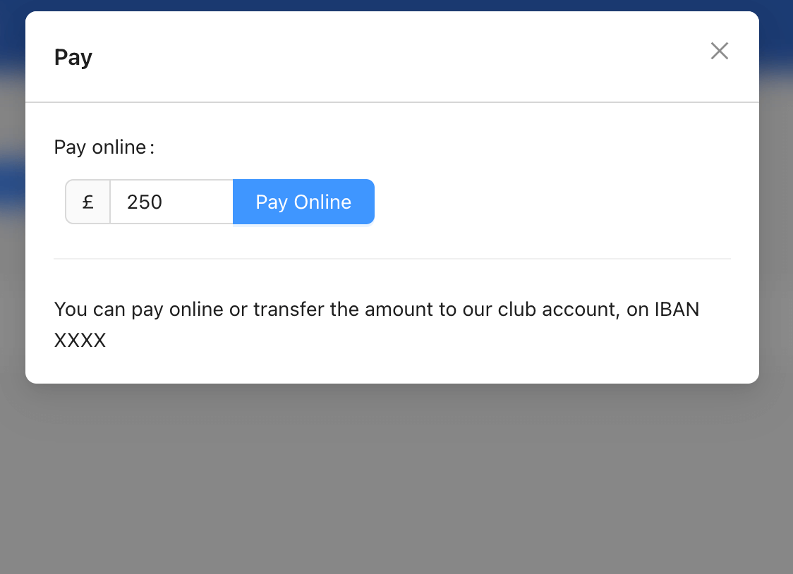 User balance and online payment system